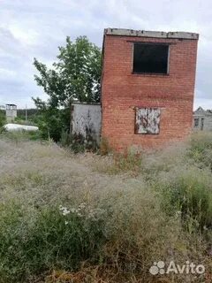 Зеленовка тольятти