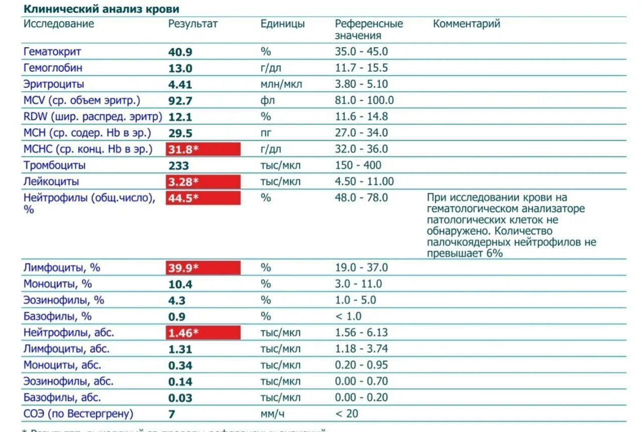 Тромбоциты повышены у подростка. Клинический анализ крови лейкоциты норма у женщин. Показатели лимфоцитов при онкологии у женщин. Исследование уровня лейкоцитов в крови норма. ОАК лимфоциты норма.