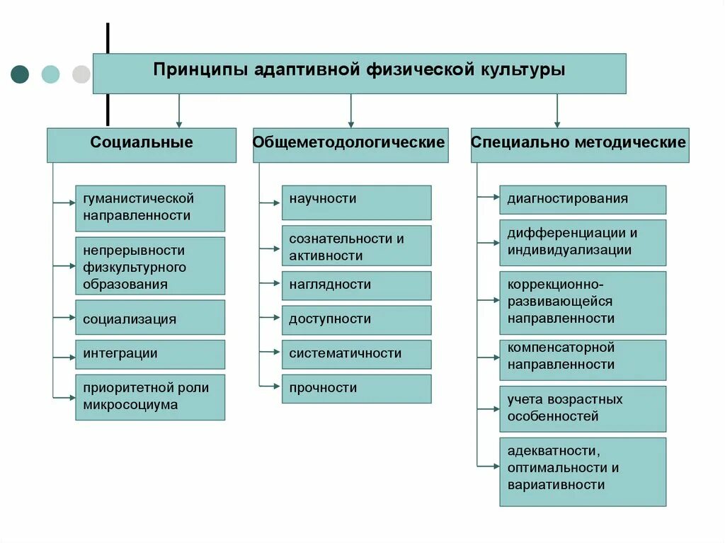 Основные направления в физической культуре. Педагогические принципы адаптивной физической культуры. Специально-методические принципы адаптивной физической культуры. Принципы адаптивного физического воспитания. Принципы АФК.