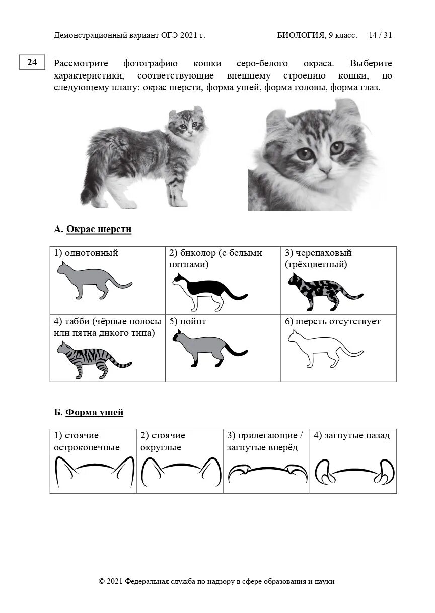 Биология ОГЭ 2021. ОГЭ по биологии задание 24 кошка ответы. Критерии ОГЭ биология 2022. ОГЭ по биологии 2022 задания. Решу огэ биология 9 класс вариант