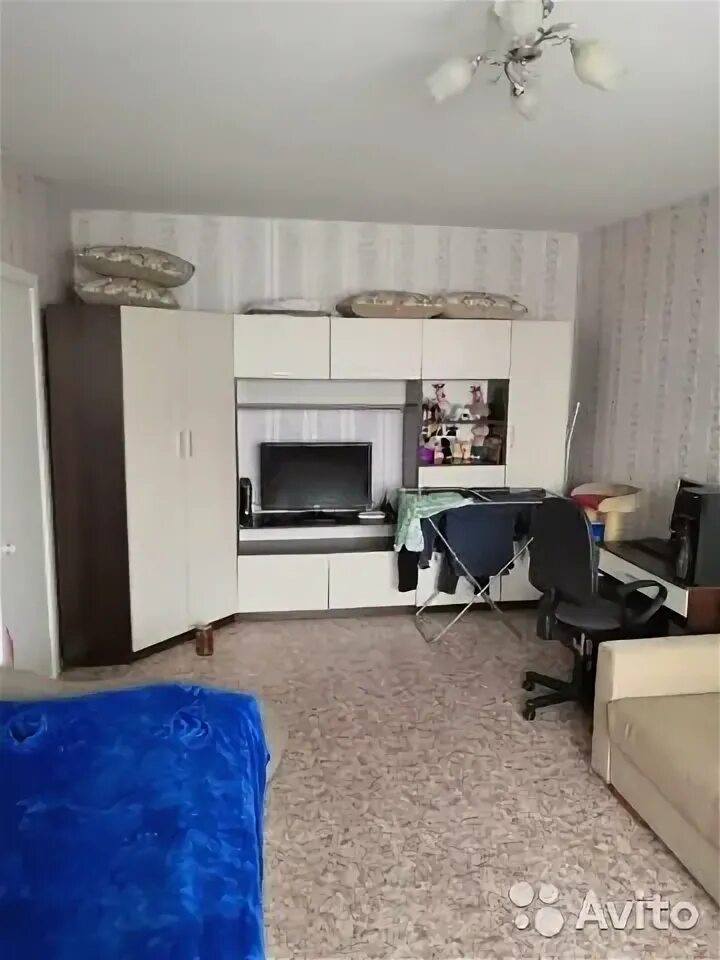 Кочетова 29 к 5 великий новгород. 19 кв. Кочетова 29 великий новгород. Квартиры великий новгород иакшки. Домофонд великий новгород.