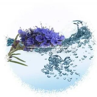 Цветковая вода