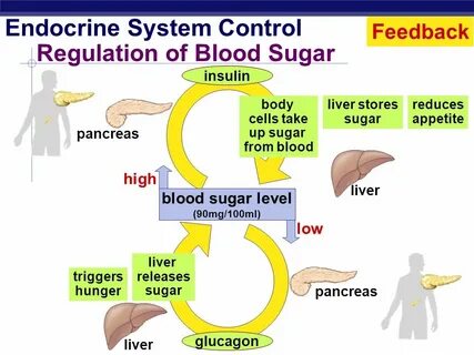 Sugar system