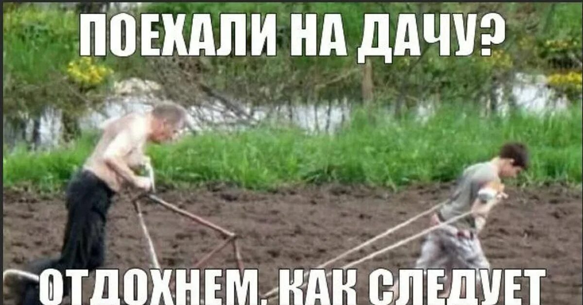 Почему не работает дача