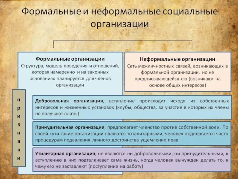 Социальные отношения социальные группы. Формальная и неформальная структура организации. Формальная социальная структура и неформальная. Социальные организации Формальные и неформальные. Формальная организация и неформальная организация.