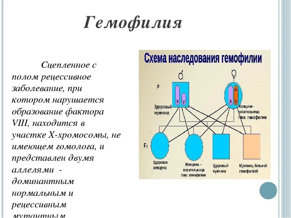 Гемофилия сцеплена с какой хромосомой