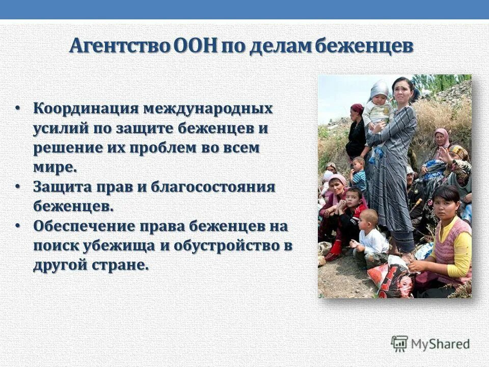 беженцы картинки. беженцы в современном мире. экологические беженцы. дети мигранты. беженцы из украины.