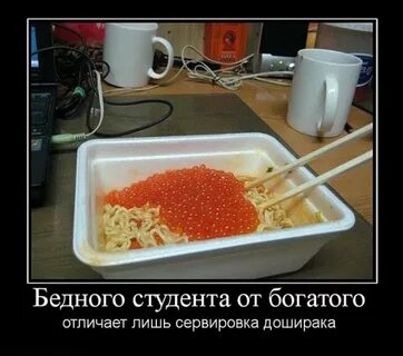 Прикольные картинки про студентов с надписями (48 фото) - 48 фото