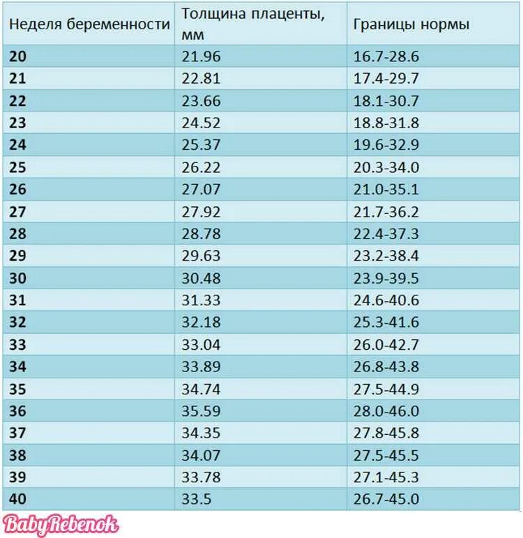 Размеры 36 недель. Степень зрелости плаценты на 32 неделе беременности норма. Толщина плаценты степень зрелости 1. Толщина плаценты на 32 неделе беременности норма. Норма степени зрелости плаценты в 34 недели.