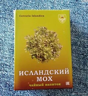 Исландский мох от кашля отзывы