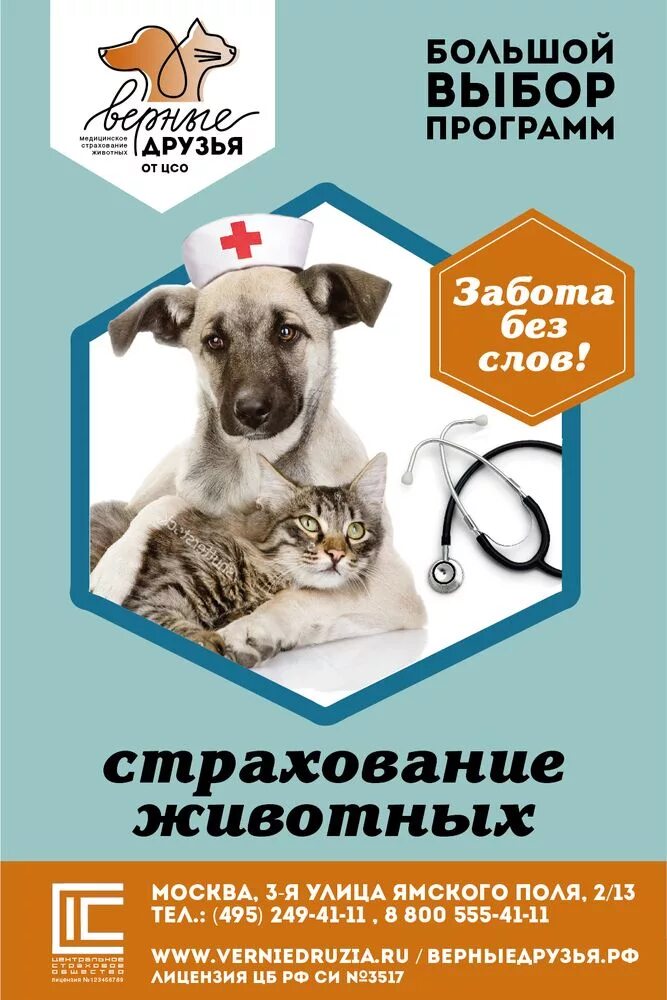 Страхование животных. Страхование животных картинки.