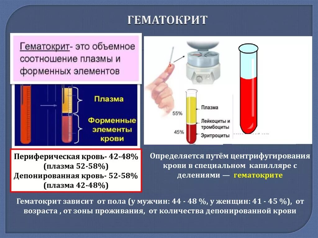 Гематокрит в крови повышены что это значит. Гематокритный показатель величина. Методика измерения гематокрита. Норма гематокрита артериальной крови. Гематокрит при анемии показатели.