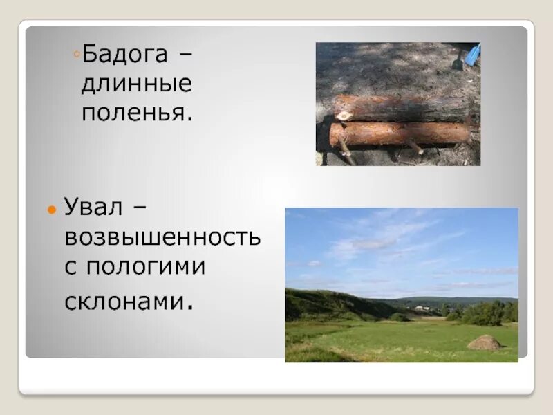 Словарь диалектизмов конь с розовой гривой. Бадога длинные поленья. Бабога длинные прленья. Бадоги. Словарь сибирских диалектизмов местных слов.