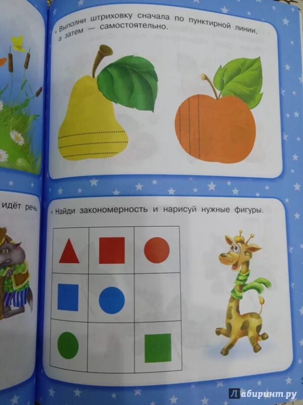 Развитие ребенка до 3 лет программа. Тестирование для детей 3-4 лет.
