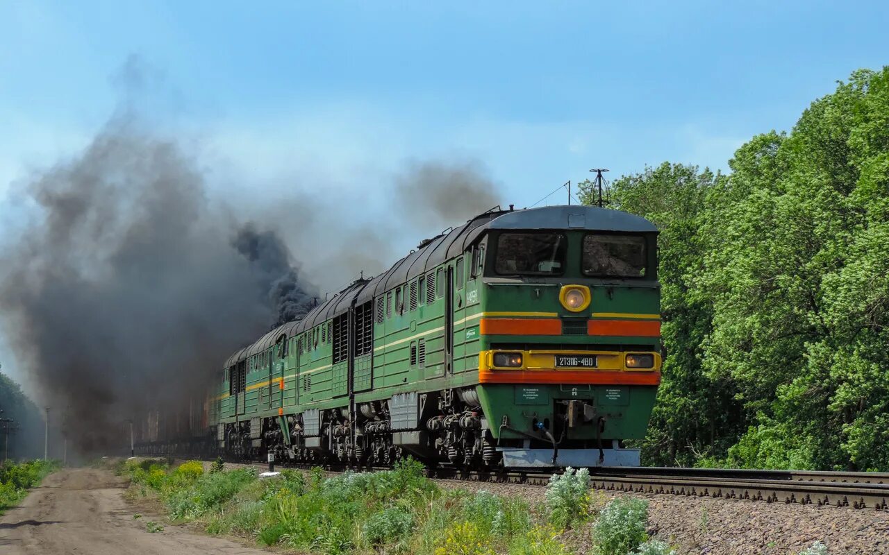 Поезд ртищево петербург. 2тэ116. Тэ116у тепловоз. 2тэ116 Piko. Тепловоз 2тэ116к-1029.