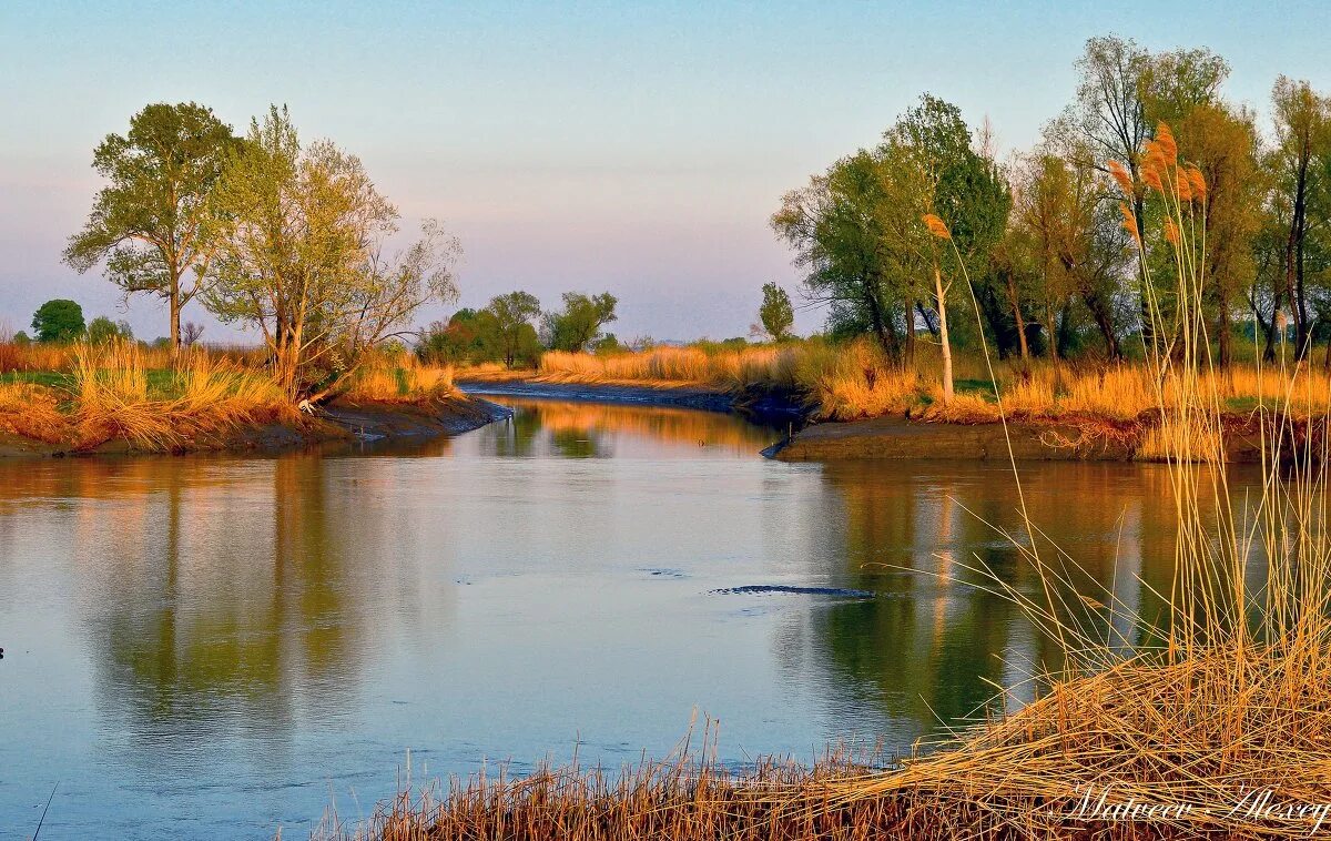 Алей беларуси