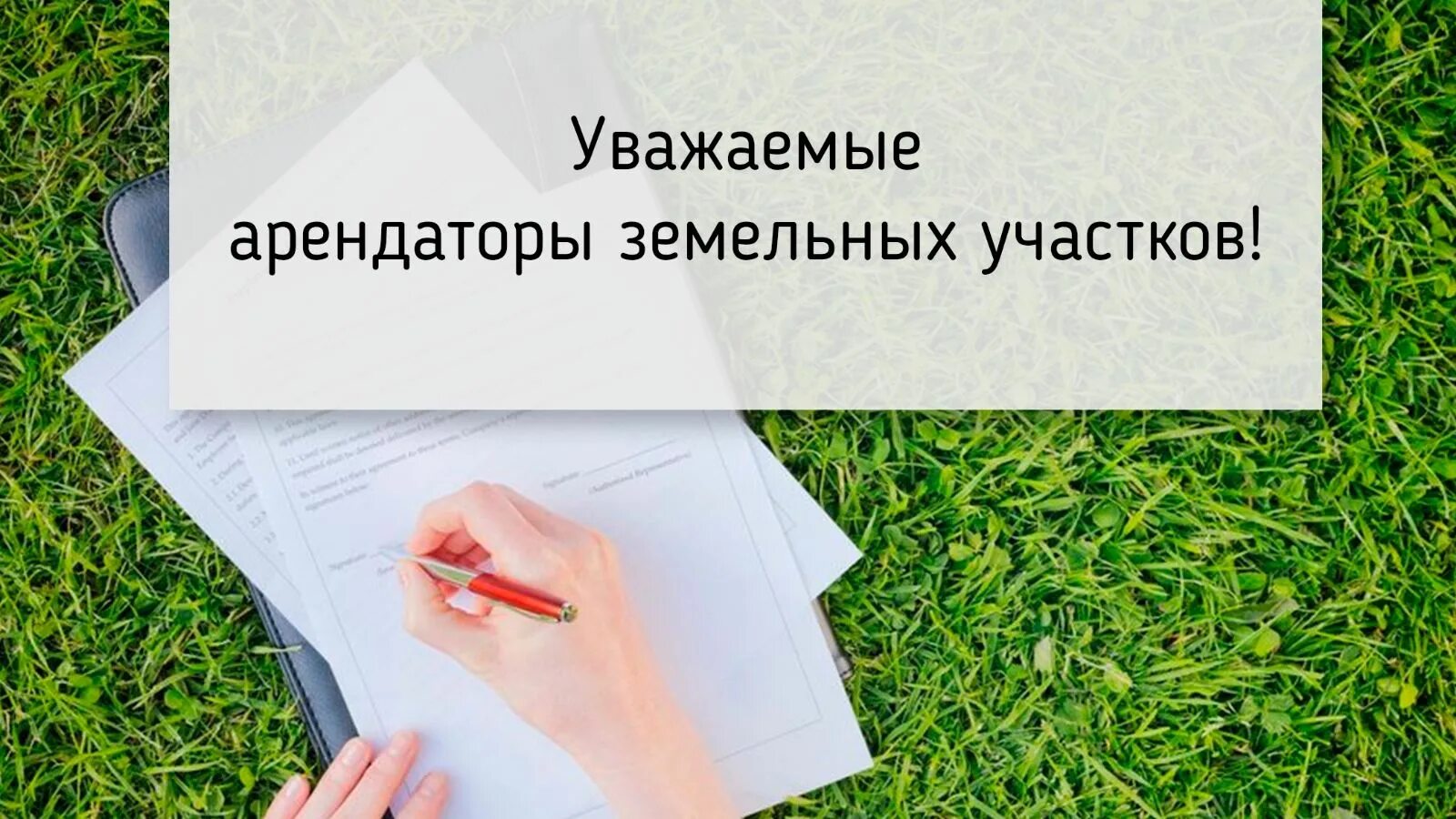 Уважаемые арендаторы земельных участков!. Уважаемые арендаторы. Информация для арендаторов земельных участков. Уважаемые арендаторы земельные участки.