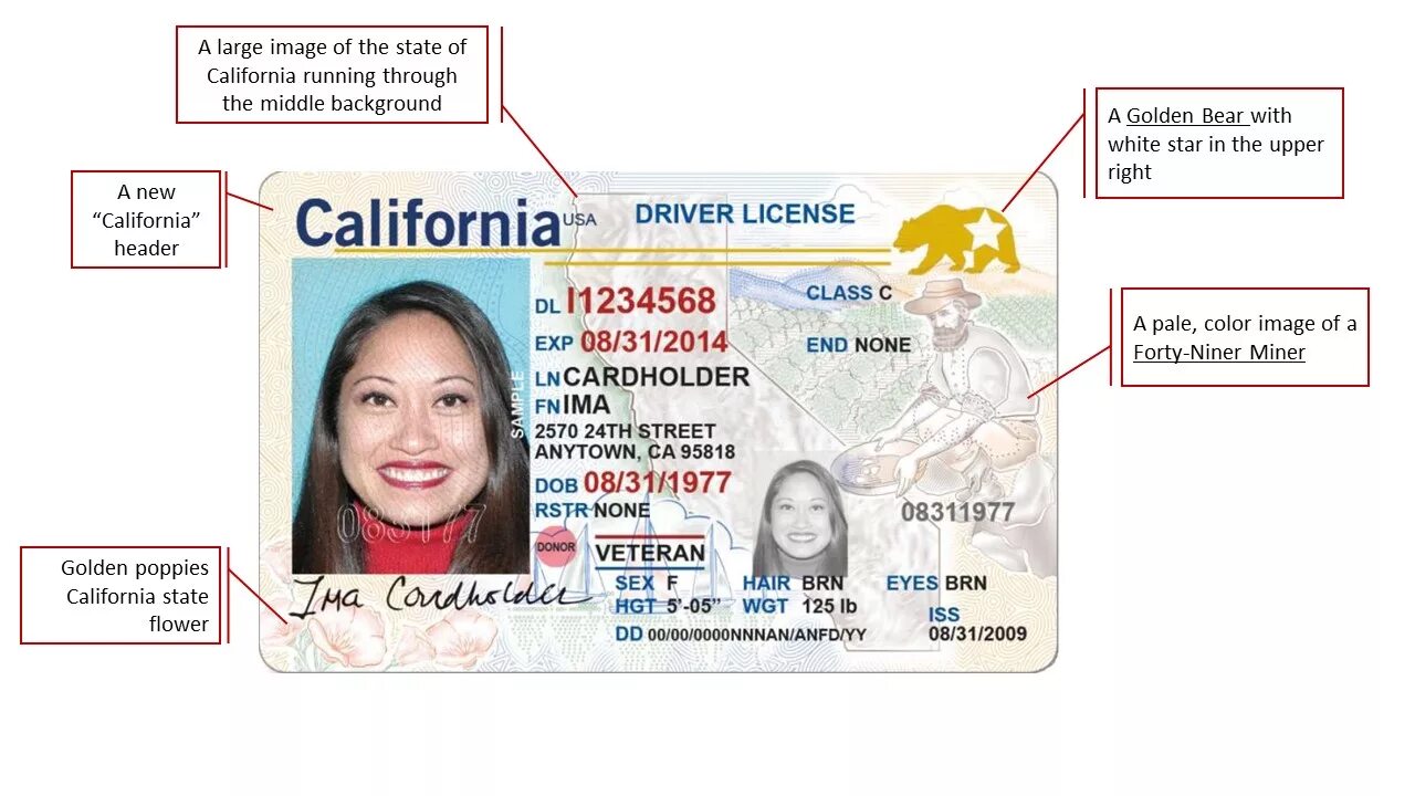 1 year license. California Driver License. California Driving License. Real ID Driver License California. New York Driver License.