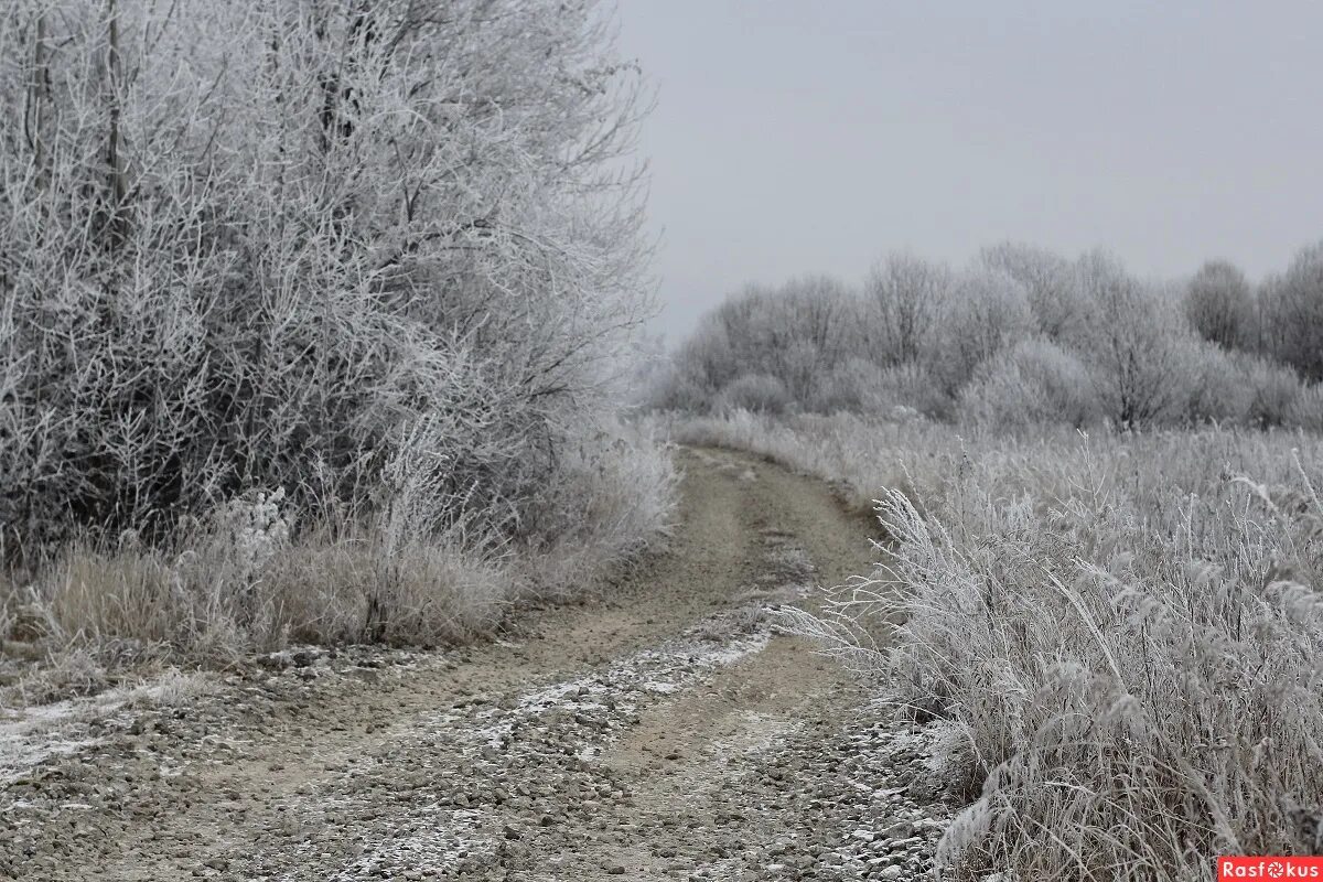 Седая новь. Слова седая ночь шатунов слова песни. Ланской сергей степанович министр внутренних дел. Камская новь лаишево. Седая новь.