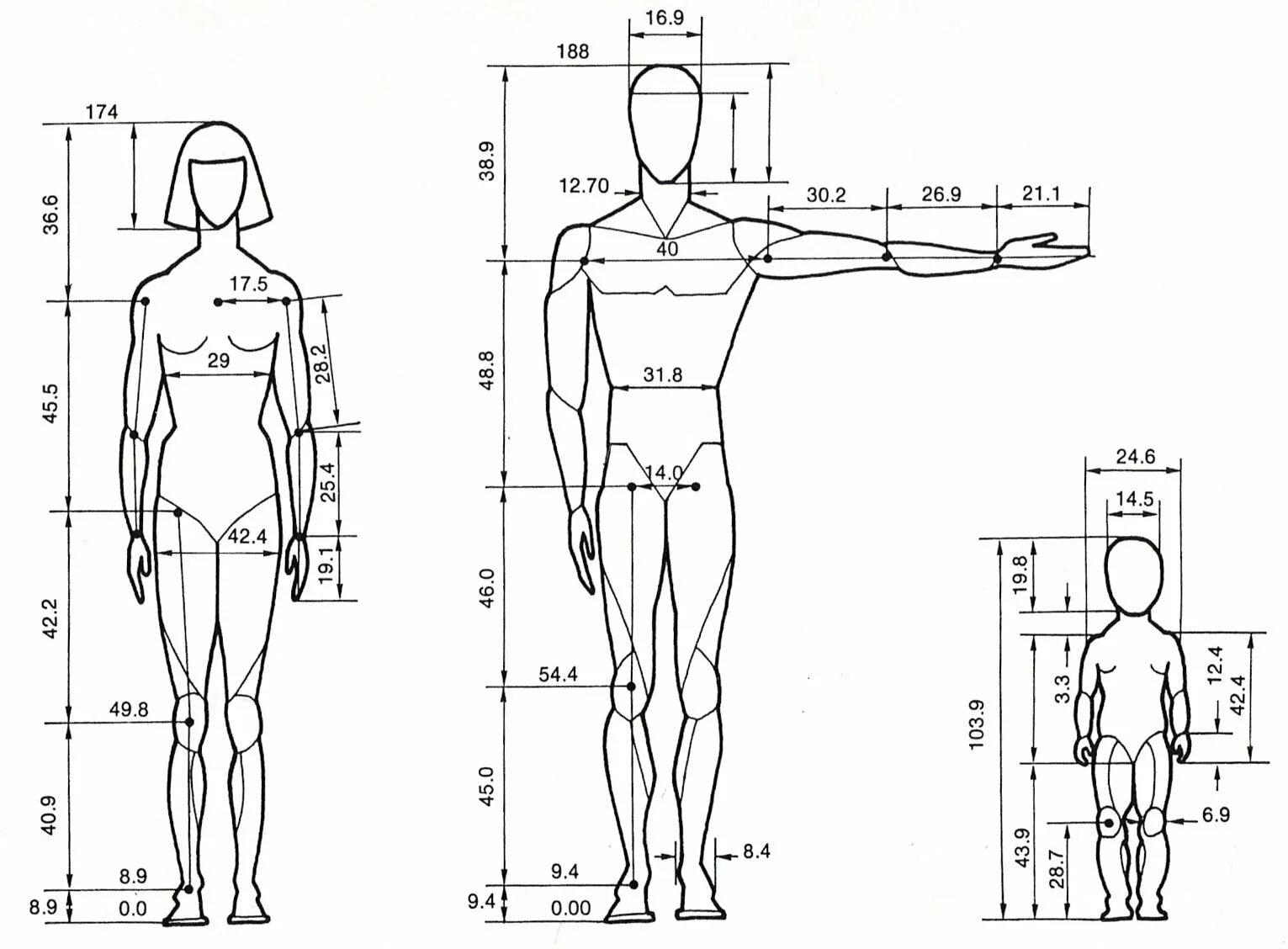 Размеры красивой фигуры. Соотношение частей тела человека. Пропорции человека в полный рост. Пропорции тела человека схема. Пропорции человека в полный рост в головах.