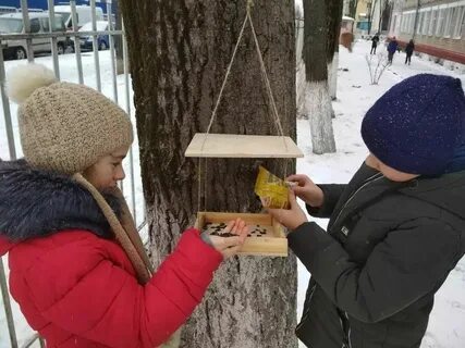 Акция кормушка
