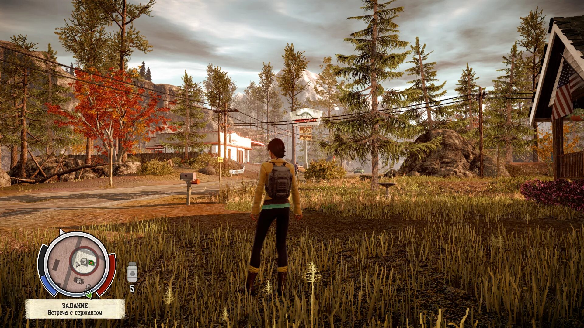 State of decay механик