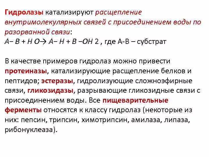 Схема реакции гидролазы. Гидролазы формула. Реакции с гидролазами биохимия. Классификация гидролаз. Ферменты класса гидролаз.