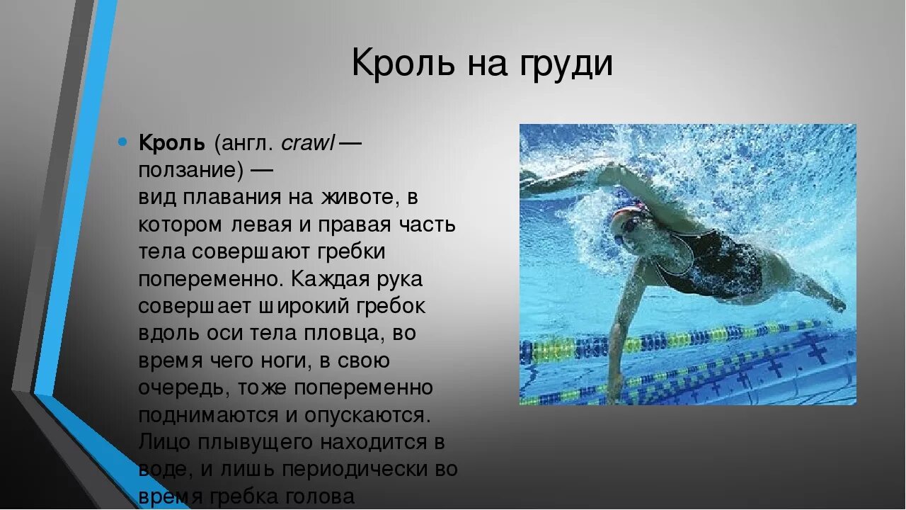 Плавание доклад. Плавание презентация. Презентация на тему плавание. Спортивное плавание презентация. Как пишется плавчиха