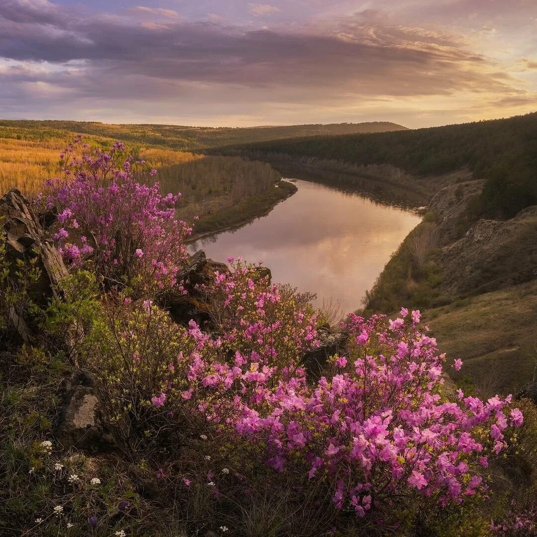 Природа забайкальского края фото. Природа читы забайкальского края. Река ингода город чита. Природа забайкальского края фото. Яблоновый хребет забайкальский край.