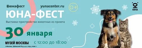 Феста сайт