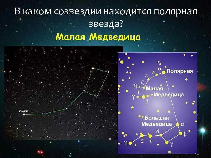 В каком созвездии находится полярная звезда