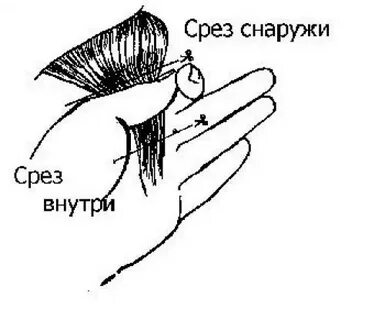 Внутренний срез