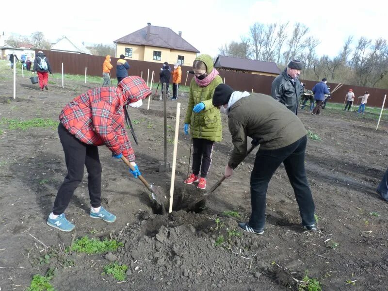 Администрация Кромского района. Бельдяжское сельское поселение Кромского района Орловской области. Кромы парк культуры. Коровье Болотовская школа Кромского района сайт. Кромы вк