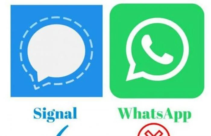 Сигнал мессенджер. Signal мессенджер. Пиктограмма успех вотсап с дудочкой. Signal whatsapp. Гудки вацапа.