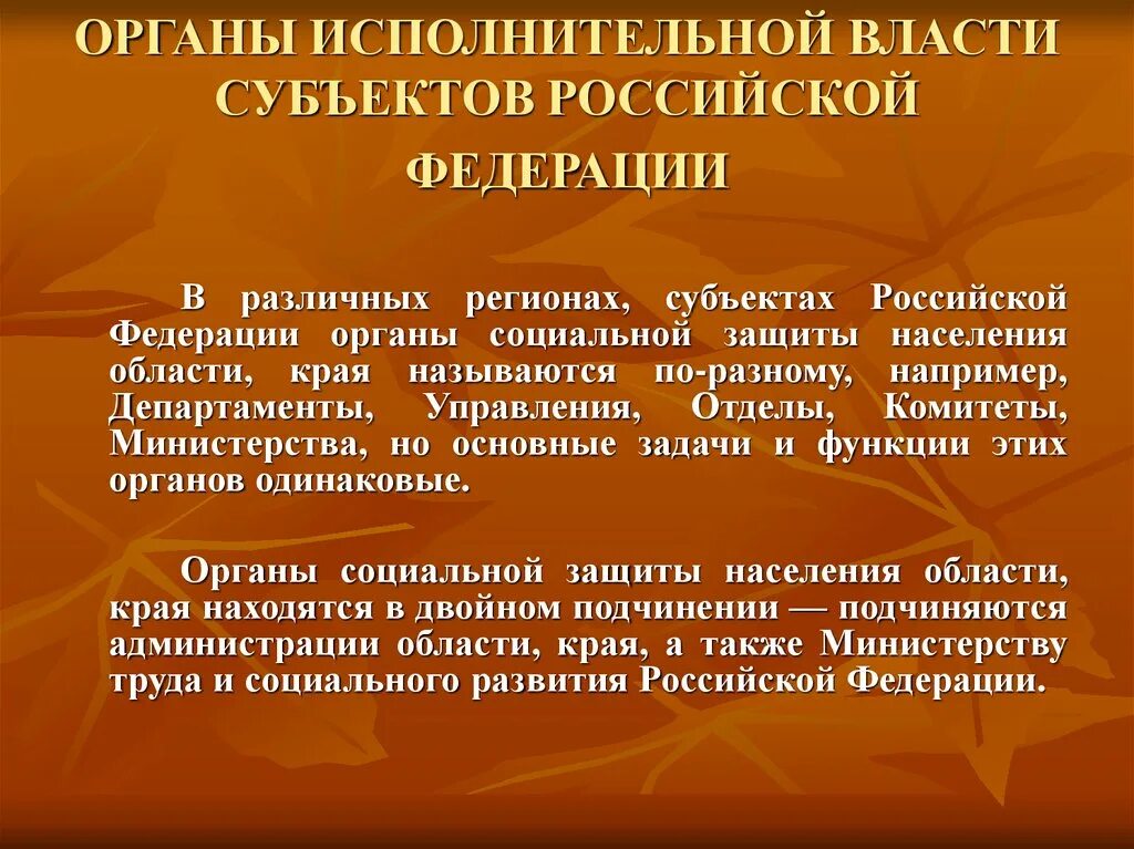 Полномочия в области социальной защиты населения. Органы исполнительной власти субъектов. Органы исполнительной власти субъектов Федерации. Органы социальной защиты населения субъекта РФ. Органы исполнительной власти субъектов РФ В сфере социальной защиты.