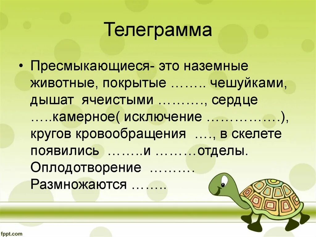 Предложение о черепахе схема предложения