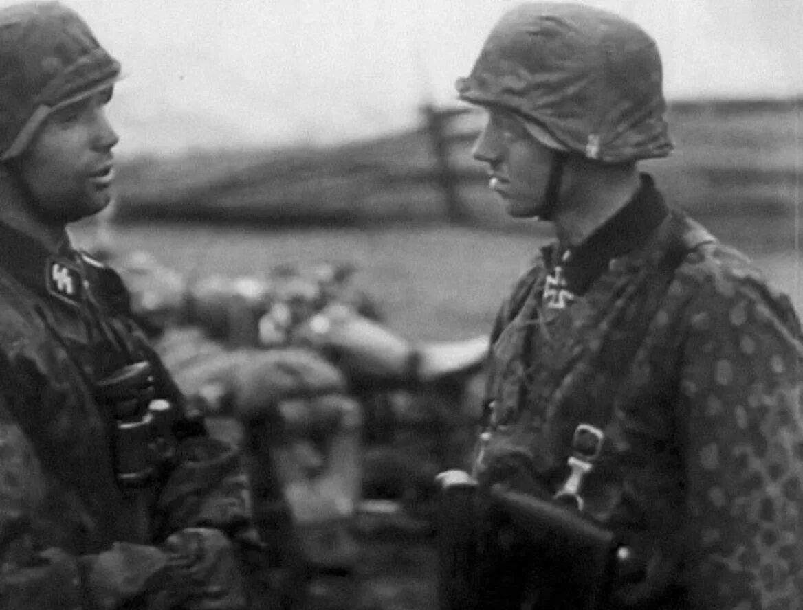 Дивизия райх. Фриц клингенберг. дивизия сс дас райх. солдаты сс дас райх. солдат дивизии дас райх.