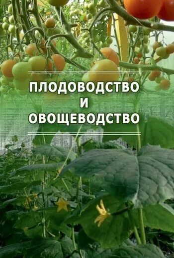 Овощеводство учебник. Плодоводство и овощеводство учебник. Практикум по овощеводству. Овощеводство учебник для вузов. Садоводство Плодоводство овощеводство.