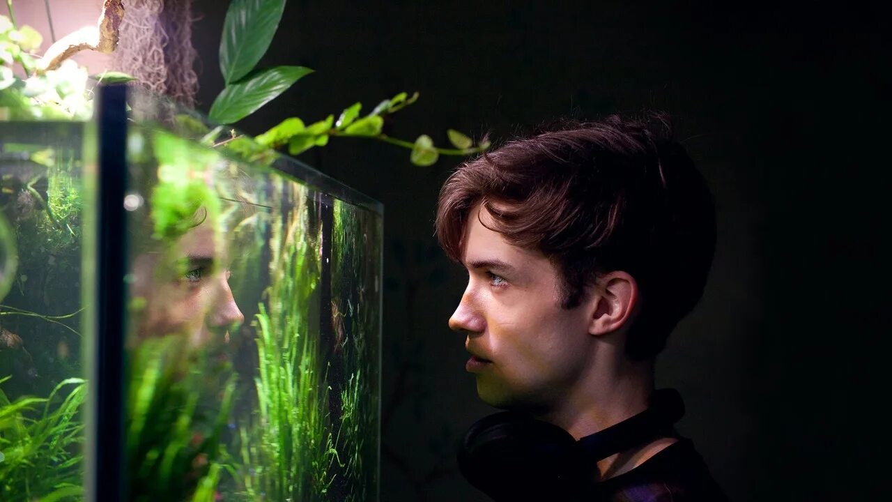 маленький аквариум. рыбок в аквариуме домашних. каких рыбок завести в аквариуме. аквариум box betta 1. каких рыбок завести в аквариуме.