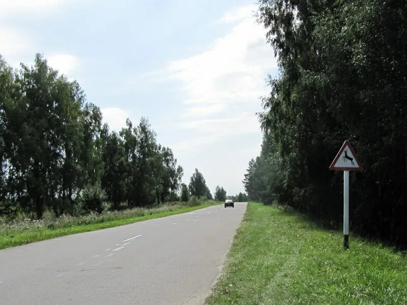 жеча брянская область