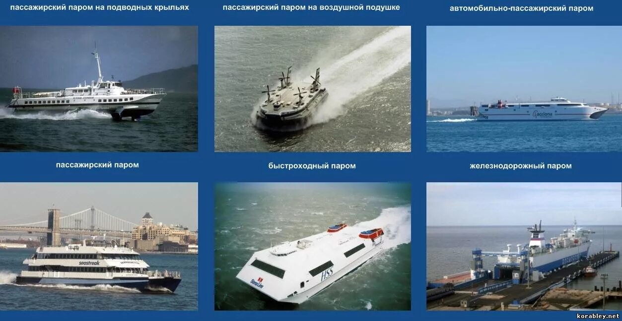 Какие суда существуют в рф. Типы пассажирских судов. Типы морских пассажирских судов. Типы транспортных судов. Пассажирский Водный транспорт.