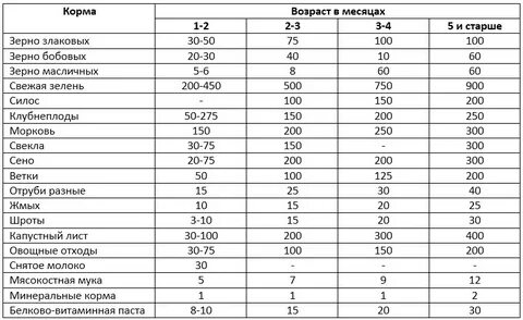 Какие фрукты можно кроликам