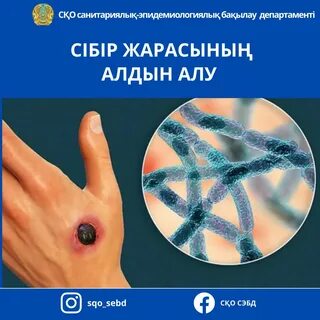 Лесбиянкалар бір-бірінің сүтті сиськилерін сорып алады