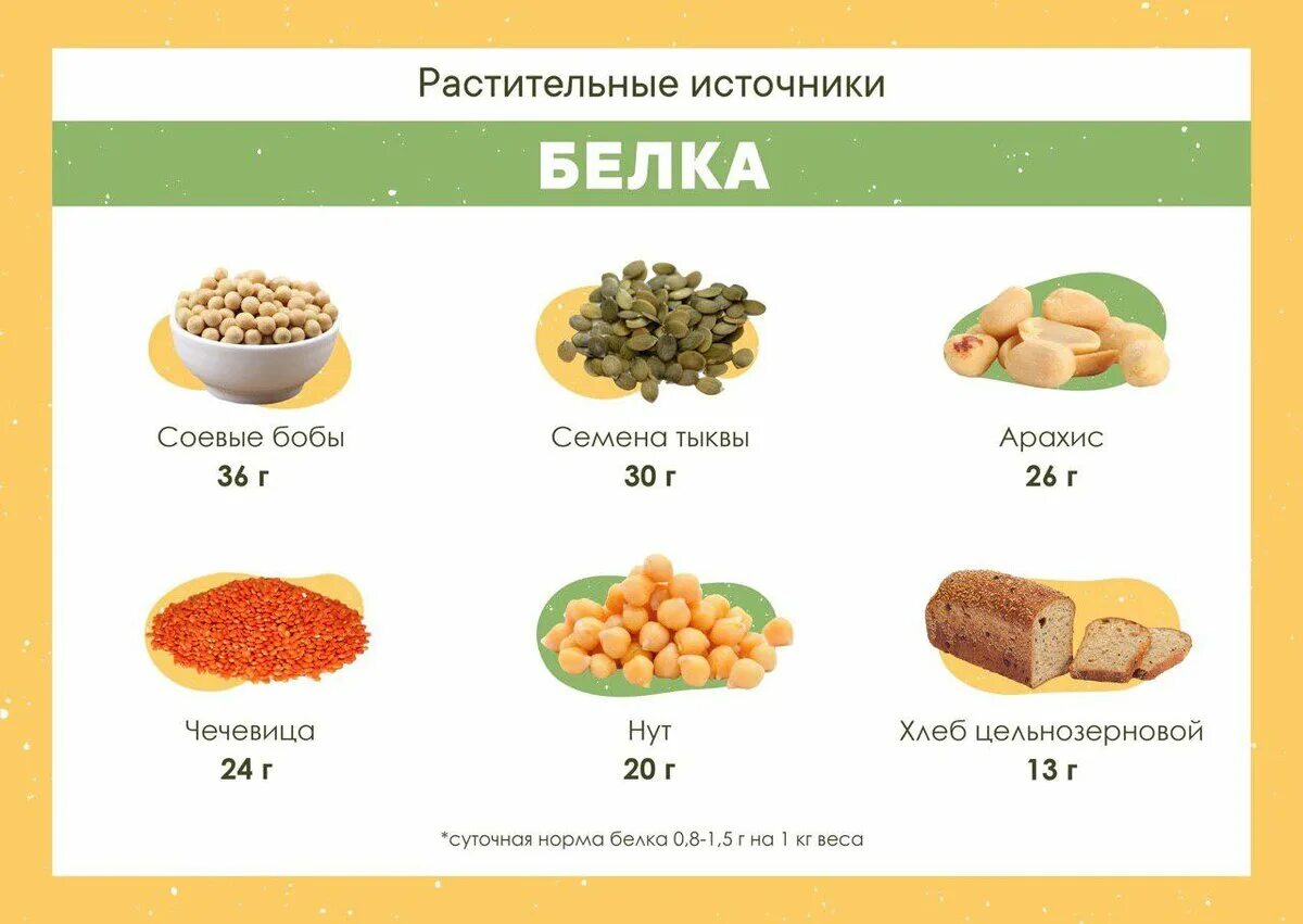 Как набрать норму белков. Продукты с высоким содержанием растительных белков. Белок в продуктах. Пища богатая белками. Источники белка для вегетарианцев.