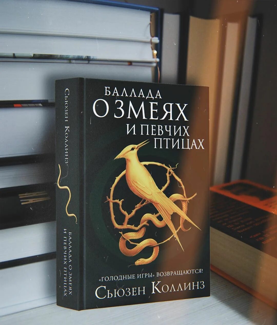 Баллада о змеях и певчих птицах смысл. Баллада о змеях и певчих. баллада о змеях и певчих птицах. баллада о змеях и певчих птицах книга. голодные игры баллада о певчих птицах и змеях.
