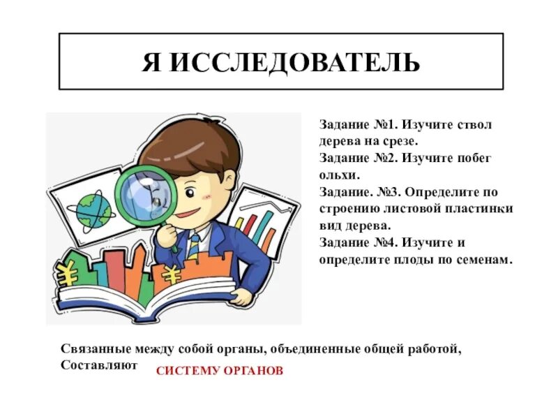 Исследователи лист