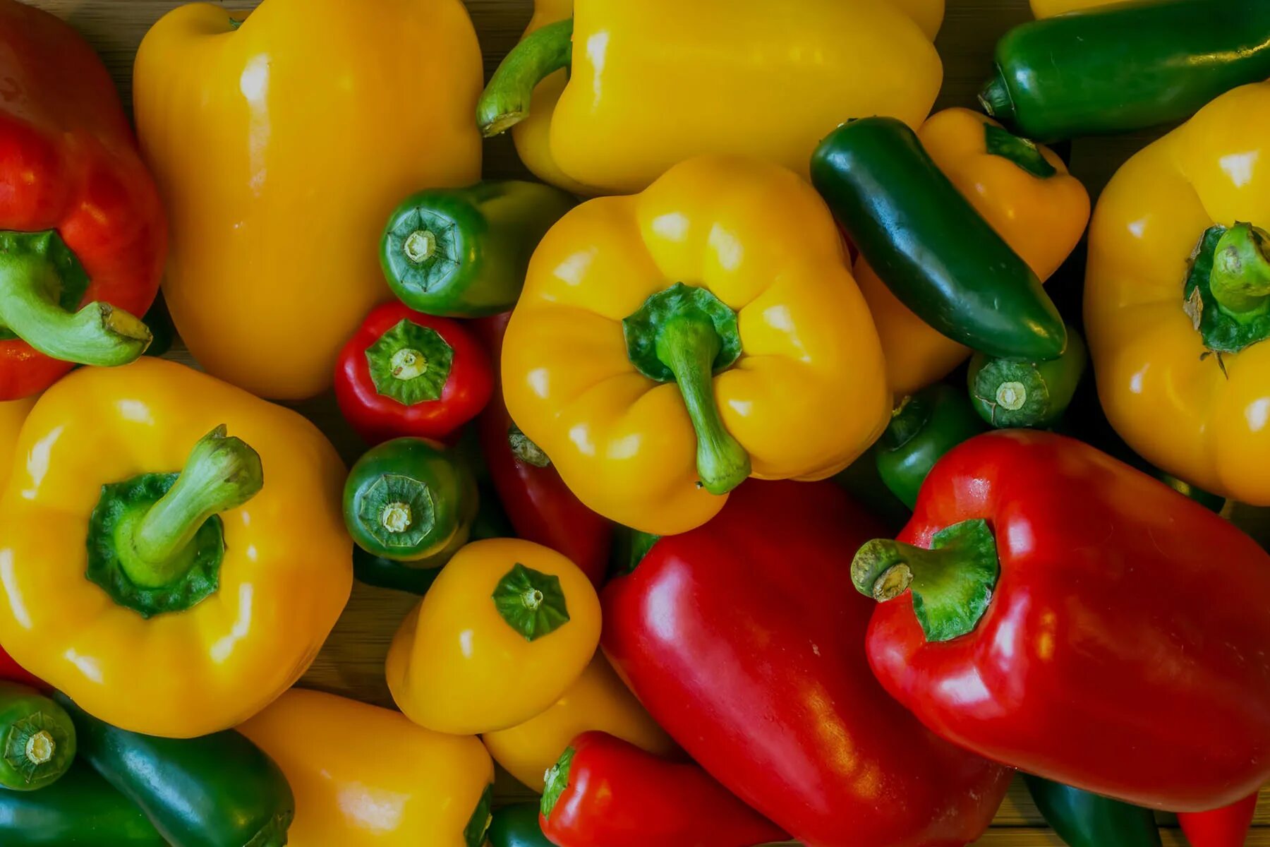 Pepper love. Перец куб оранжевый Мязина. Перец оранжевый куб описание сорта. Перец болгарский сорта. Перец болгарский фото.