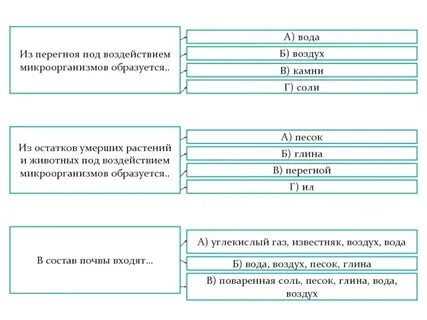 Что образуется из перегноя под действием микробов