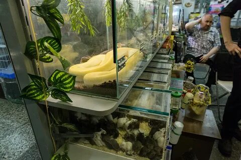 Полюстровский рынок