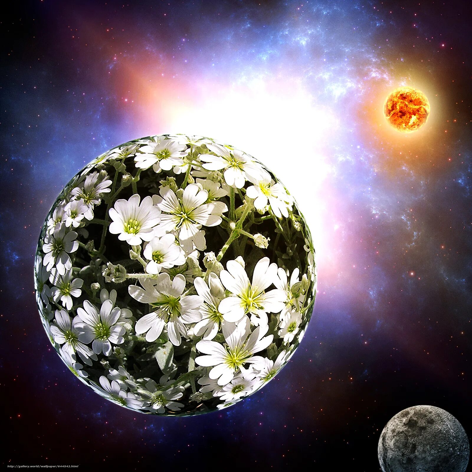 Растения планеты земля. Цветущая земля. Земля в цветах. Растительность земли. Драцена дракон драконово дерево.